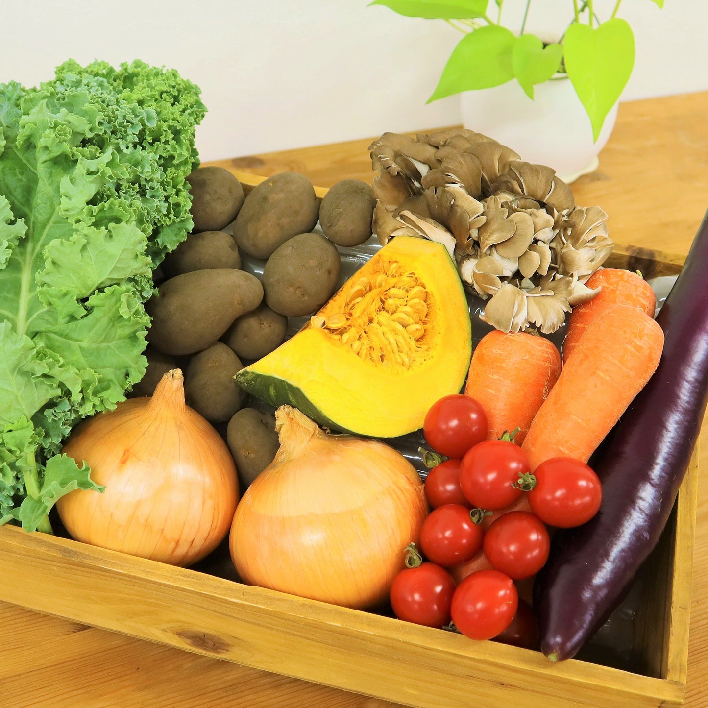 【セット】季節のお任せ産直野菜8種