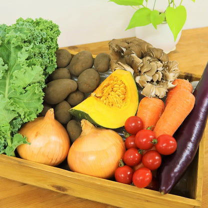 【セット】季節のお任せ産直野菜8種