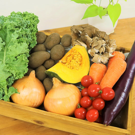 【セット】季節のお任せ産直野菜8種