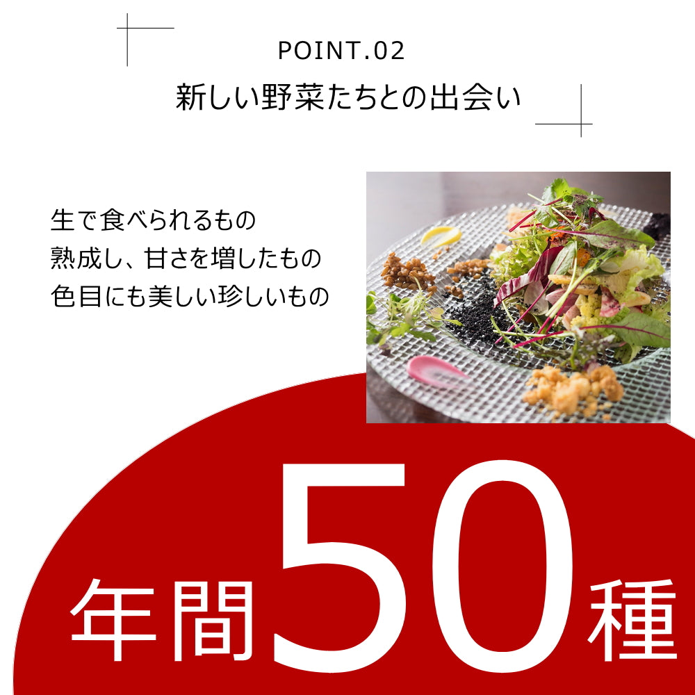 【セット】季節のお任せ産直野菜8種